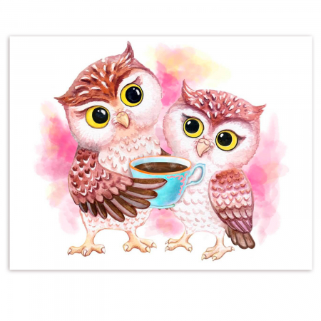 Pictura pe numere, cu sasiu, Cute Owls, 30x40 cm [0]