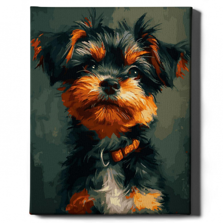 Set pictura pe numere, cu sasiu, Yorkshire Terrier, 40x50 cm [1]