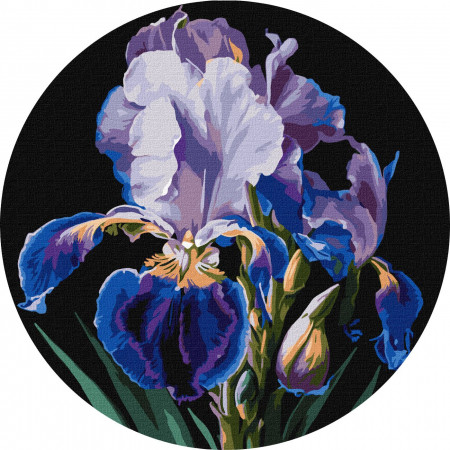 Picturi pe numere - Set pictura pe numere rotunda, cu sasiu, Iris delicat, Ø33cm