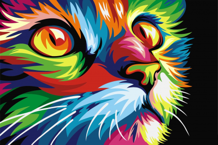 Set pictura pe numere , cu sasiu, Pisica curcubeu, 29,7x21 cm [0]