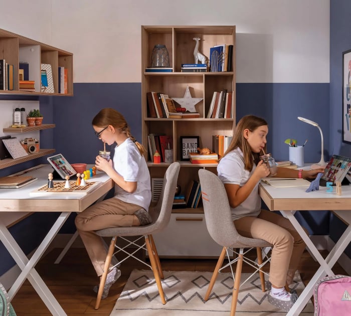Biblioteca pentru carti, camera copii si adolescenti, Colectia Modera [6]