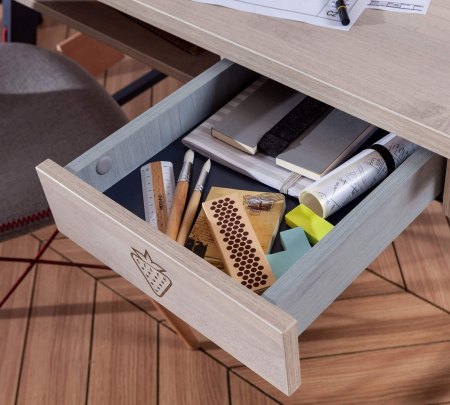 Set Studiu Camera Copii Colectia Trio - Birou, Unitate, Modul [3]