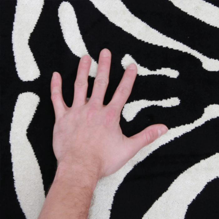 Covor 200x250 cm, model zebra, ARWEN [2]
