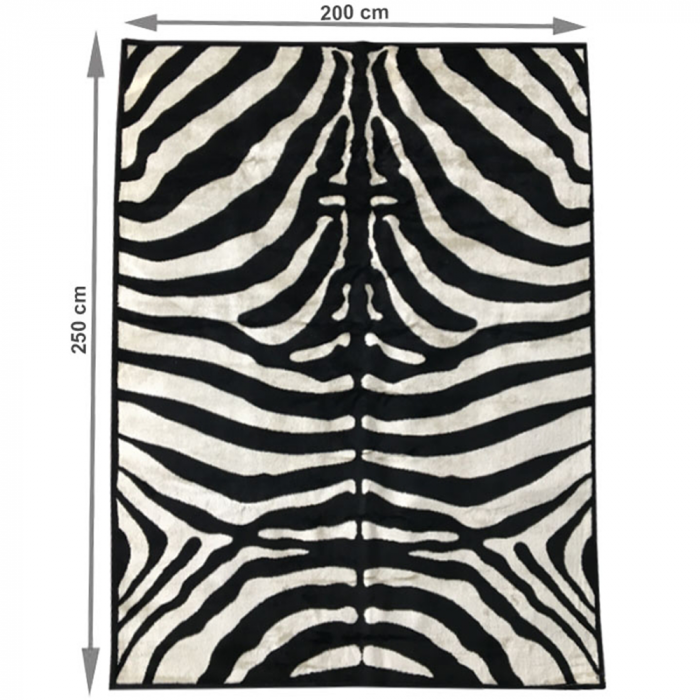 Covor 200x250 cm, model zebra, ARWEN [5]