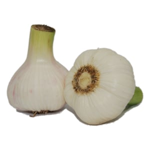 Legume - Usturoi romanesc