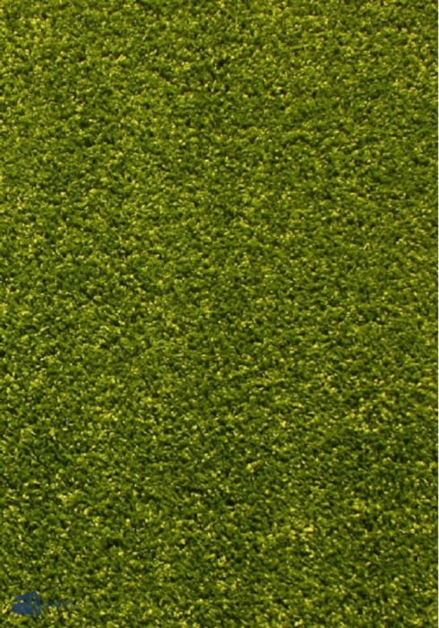 Covor Modern, Kolibri 11000-130, Verde, 80x150 cm, 2200 gr/mp [1]
