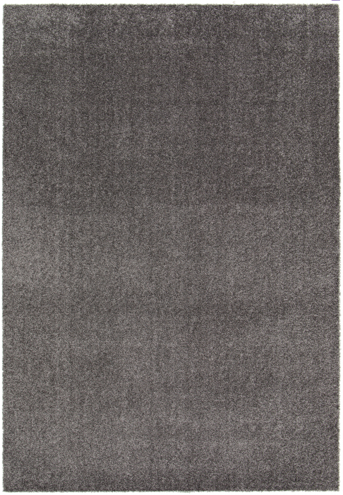 Covor Belgian, Denton 71181, Gri Inchis, 160x230 cm [2]