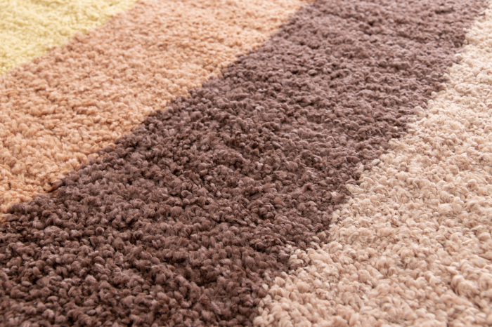 Covor Belgian, Sydney 52284, Crem/Multicolor, 160x213 [4]