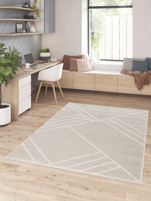 Covor Belgian, Union 32307, Gri Deschis, 120x170 cm [2]