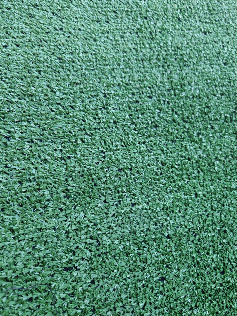 Covor Gazon Iarba Artificiala, Verde, 7 mm, Latime 3 m [7]