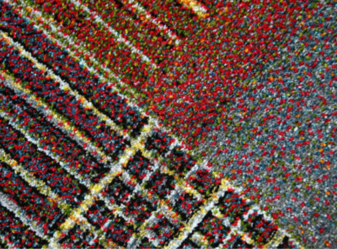 Covor Modern, Kolibri 11561, 200x300cm, 2200 gr/mp [3]