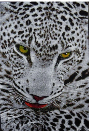 Covor Kolibri Leopard 11122, 120x170 cm, 2300 gr/mp [1]