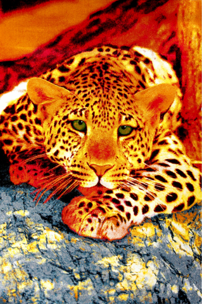 Covor Modern, Kolibri Tigru Color 11123, 120x170 cm, 2300 gr/mp [1]