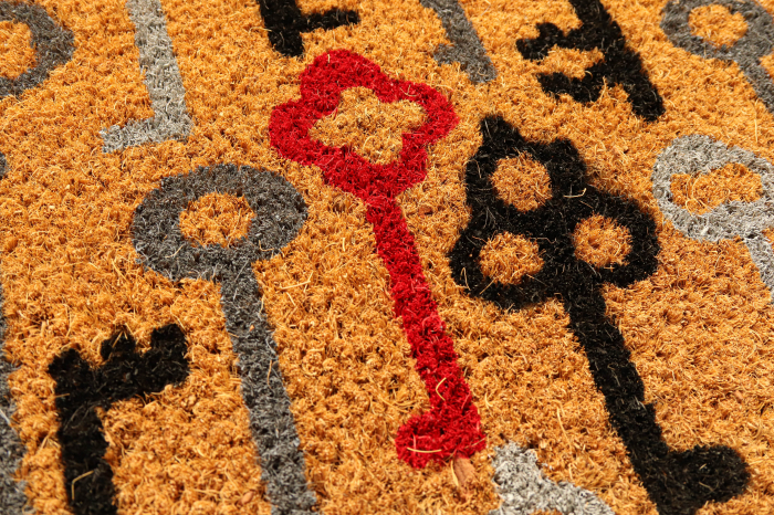 Covoras Intrare, Model 658/016, 40x60 cm, Maro [2]