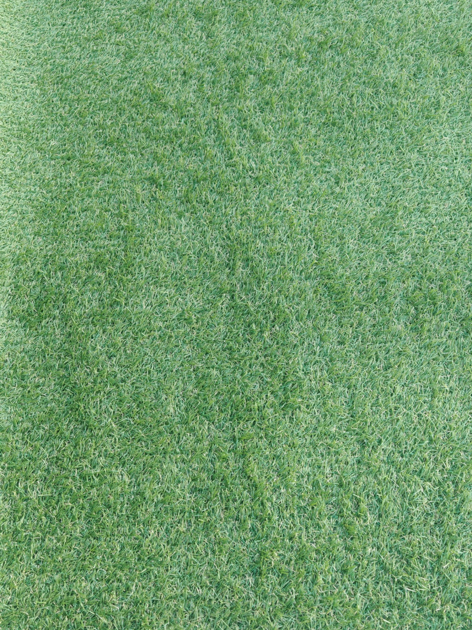 JAKARTA, Covor Gazon Iarba Artificiala, Verde, 20 mm, Latime 1 m [2]