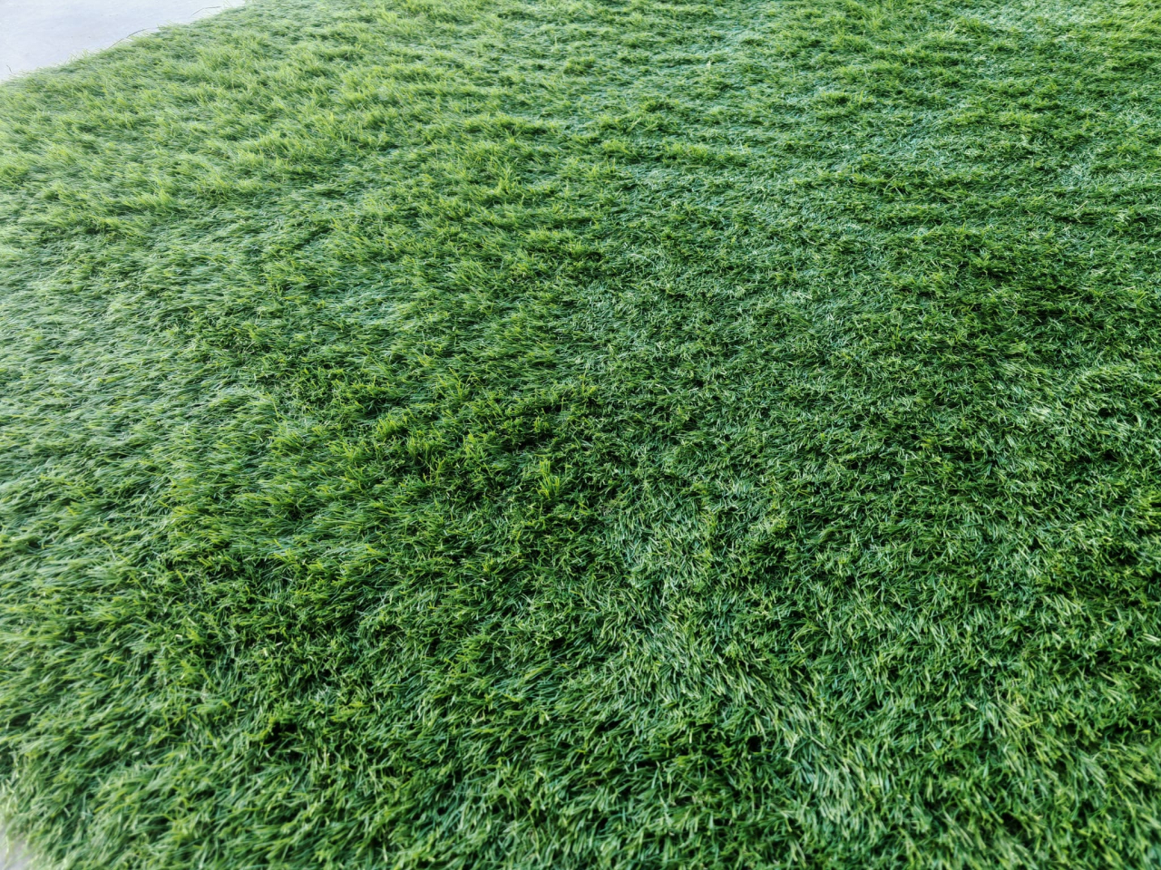 JAKARTA, Covor Gazon Iarba Artificiala, Verde, 30 mm, Latime 1 m [4]