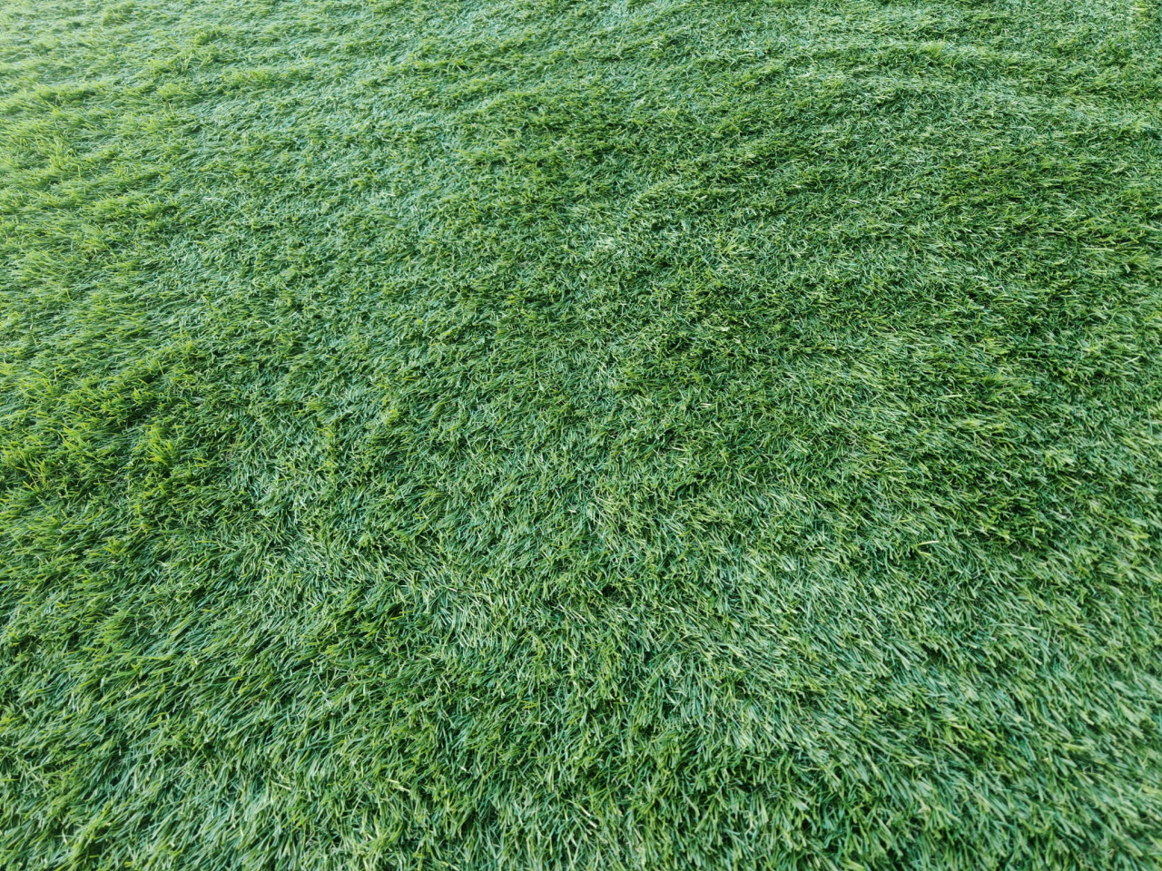 JAKARTA, Covor Gazon Iarba Artificiala, Verde, 30 mm, Latime 3 m [3]