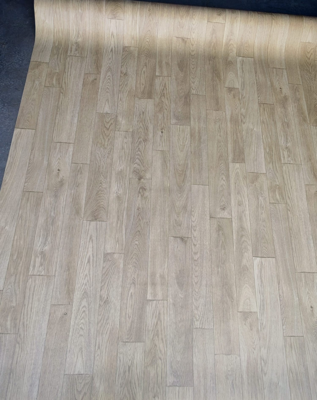 Linoleum START NANCY 1, Latime 200 cm, Diverse Lungimi [8]