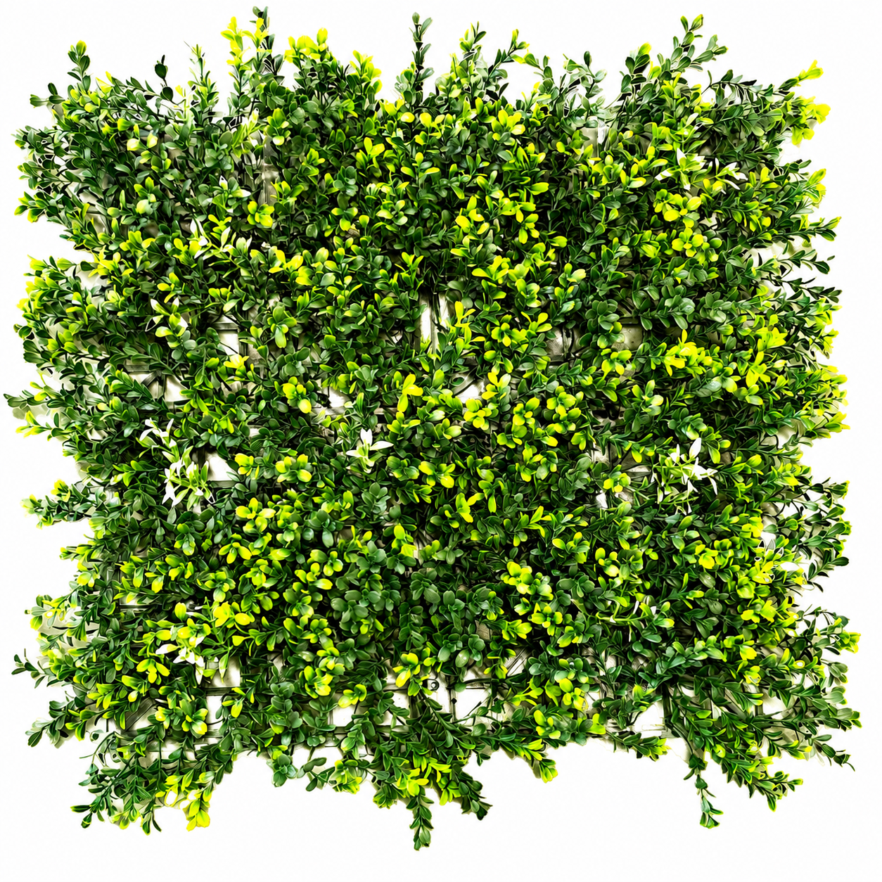 Panou Decorativ Verde Artificial A019 , 50x50 cm [2]
