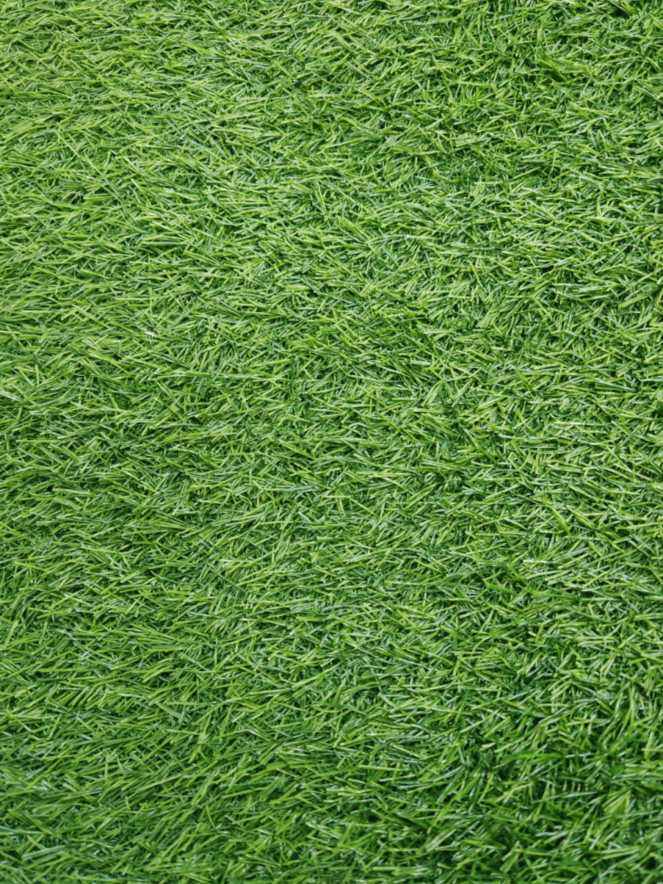 SRI LANKA, Covor Gazon Iarba Artificiala, Verde, 20 mm, Latime 2 m [2]