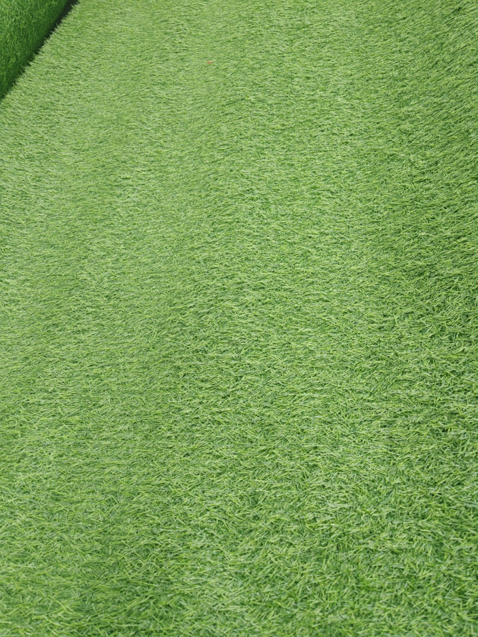 SRI LANKA, Covor Gazon Iarba Artificiala, Verde, 20 mm, Latime 4 m [3]