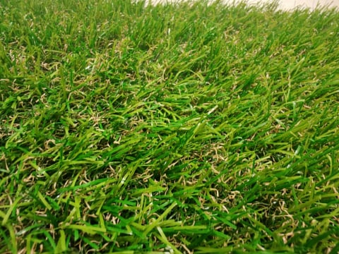 OASIS, Covor Gazon Iarba Artificiala, Verde, 30 mm, Latime 2 m [3]