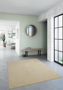 Covor Belgian Sky din Microfibra, Lavabil, Fir moale, Bej [3]