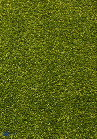 Covor Modern, Kolibri 11000-130, Verde, 80x150 cm, 2200 gr/mp [0]