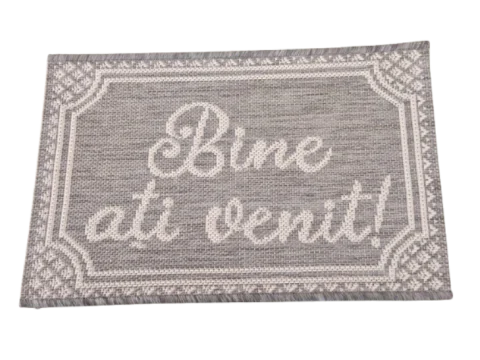 Cadouri - CADOU! Covoras intrare 40x60 cm