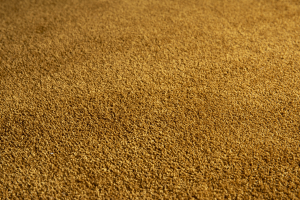 Covor Belgian Sky din Microfibra, Lavabil, Fir moale, Auriu / Galben [5]