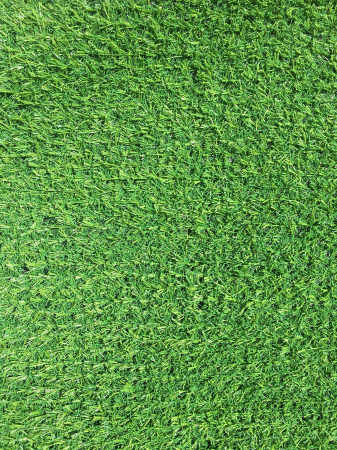 Covor Iarba Artificiala, Tip Gazon, Verde, Tropicana, 100% Polipropilena, 10 mm, 300x400 cm [0]