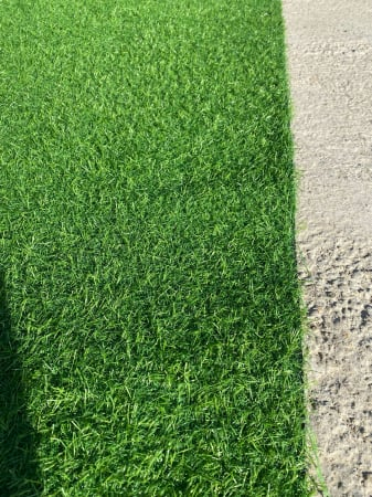 Covor Gazon Iarba Artificiala, LEISURE, Verde, 15 mm, Latime 1 m [3]