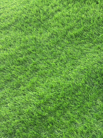 GAZON ARTIFICIAL - SRI LANKA, Covor Gazon Iarba Artificiala, Verde, 30 mm, Latime 1 m