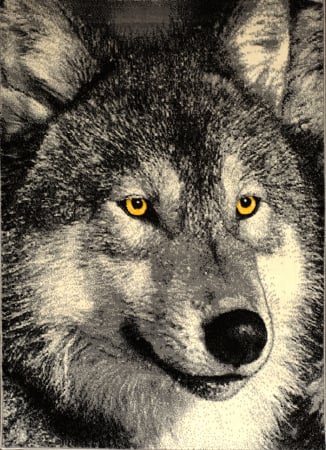 Covoare Living - Covor Kolibri Lup, 11395, Gri, Diverse Dimensiuni, 2200 gr/mp