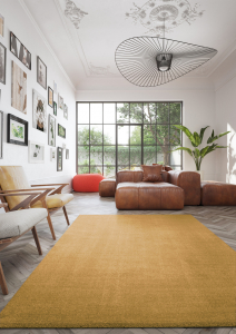 Covoare Living - Covor Belgian Sky din Microfibra, Lavabil, Fir moale, Auriu / Galben