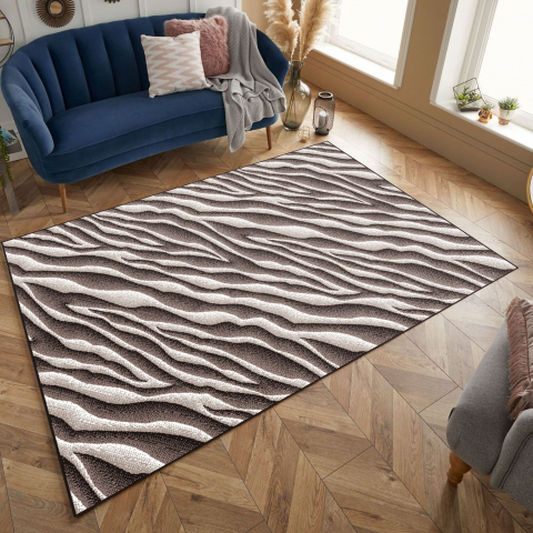 Covoare Living - Covor Modern, Mira 24028, Maro, Diverse Dimensiuni