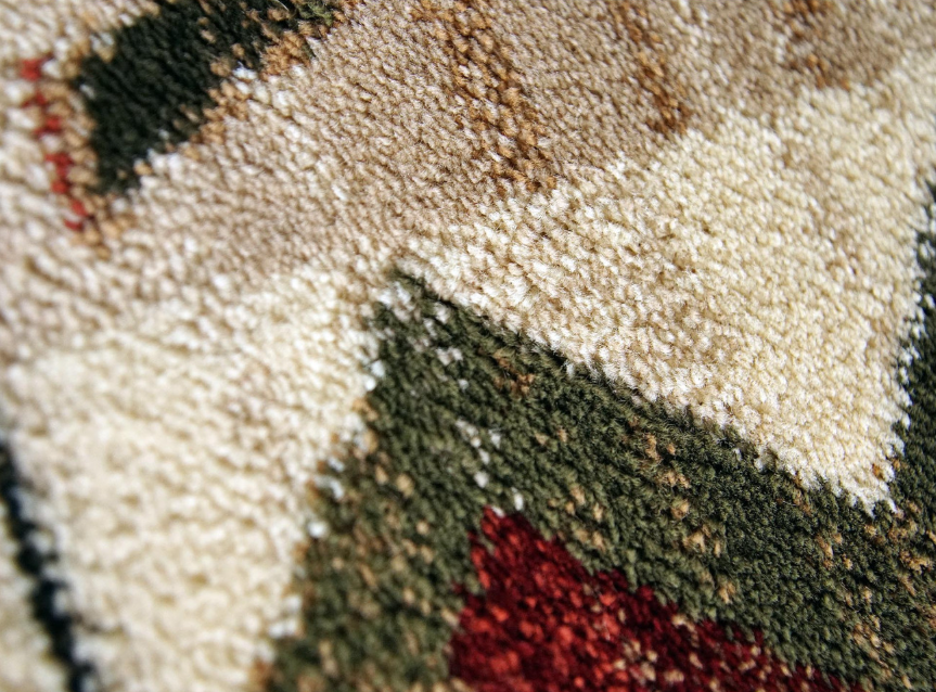 Covor Modern, Lotos 15081, Multicolor, 120x170 cm [5]