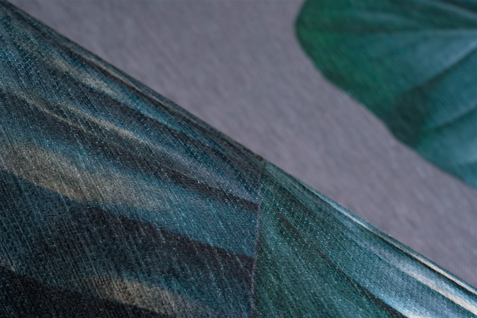 Covor Modern Tropical 125, Turcuaz , Inaltime fir 6 mm [4]