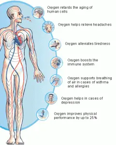 oxigenul sursa vietii