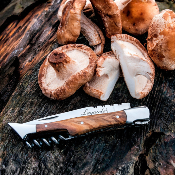 Cutit de buzunar cu tirbuson Laguiole Style de Vie Premium Line ZAKMKURKOLIJF [4]