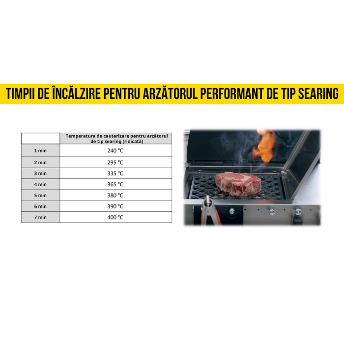 Gratar pe gaz Char-Broil Professional Power Edition 4, grile si plita din fonta, sear burner, TRU-Infrared 140985 [8]