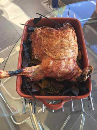 Cuptor traditional pentru pizza pe lemne Maximus Arena negru [25]