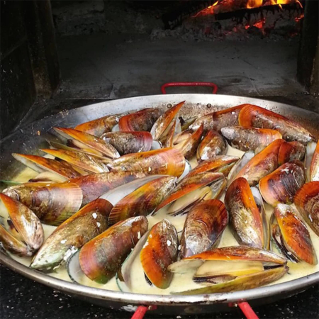 Cuptor traditional pentru pizza pe lemne Maximus Prime Arena Black [11]