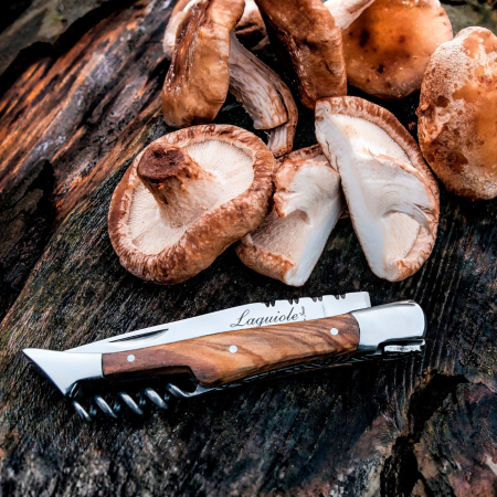 Cutit de buzunar cu tirbuson Laguiole Style de Vie Premium Line ZAKMKURKOLIJF [3]