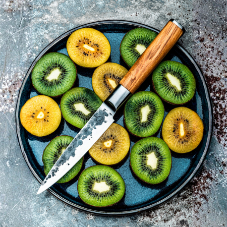 Cutit pentru dezosat Forged Olive OLIVEUITBEEN [4]