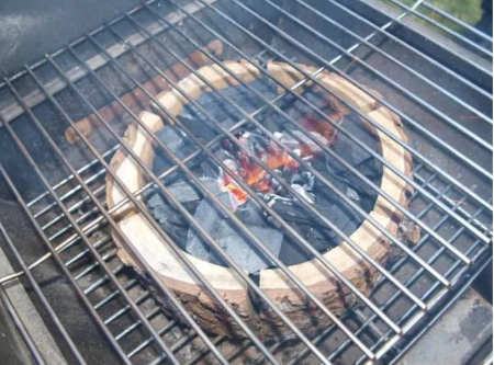 EcoGrill BBQ Medium [4]
