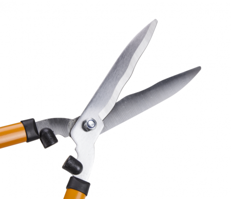 FOARFECA GARD VIU ETS [1]