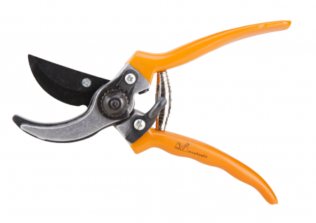 FOARFECA PENTRU VIE [1]