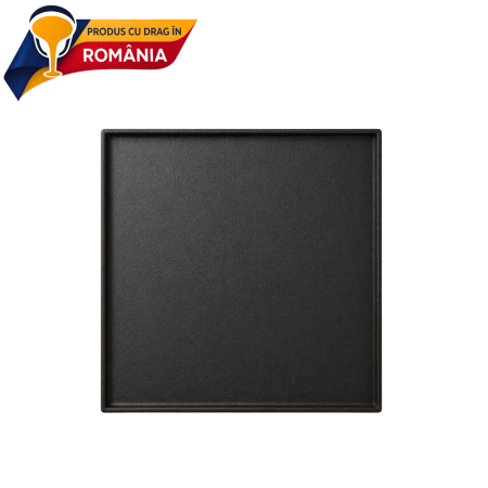 PLITE DIN FONTĂ - PLITĂ DIN FONTĂ NETEDĂ CU BORDURĂ 480 x 475 mm