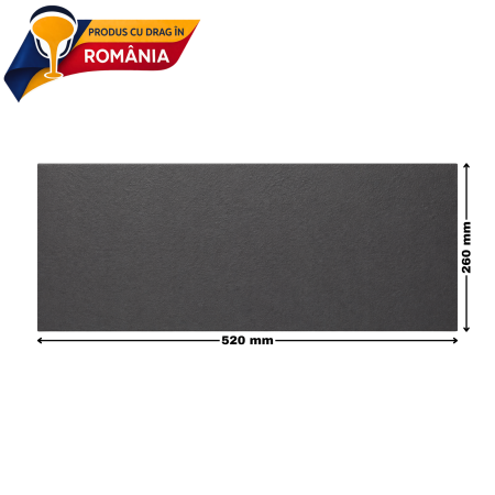 PLITĂ DIN FONTĂ TIP PLACĂ 520 x 260 mm [1]